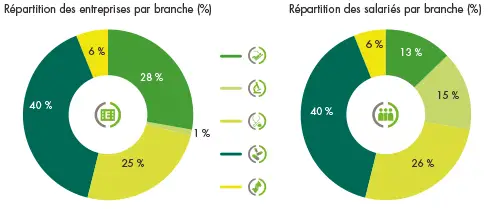 Santé entre salariés par branche